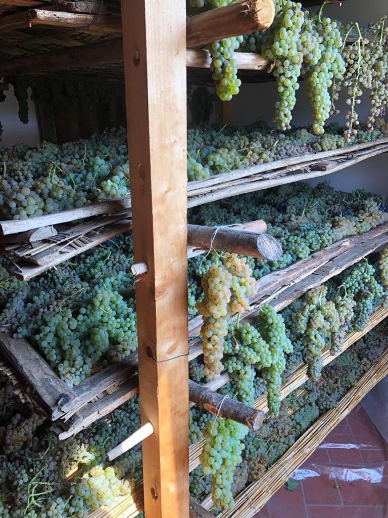 Podere San Giusto فيليني فالدارنو المظهر الخارجي الصورة